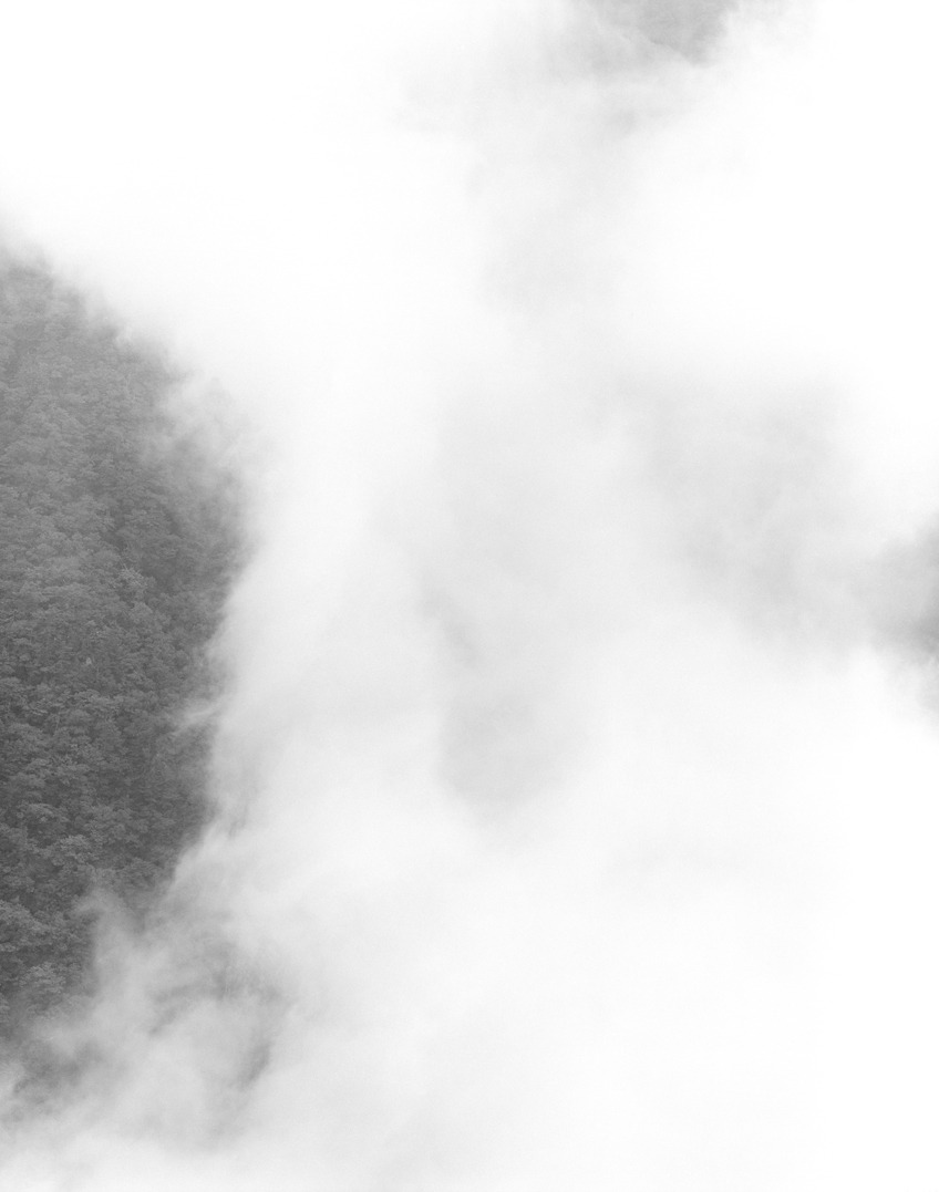 white#22, 43.5x54cm, inkjet print, 1of7, 2013