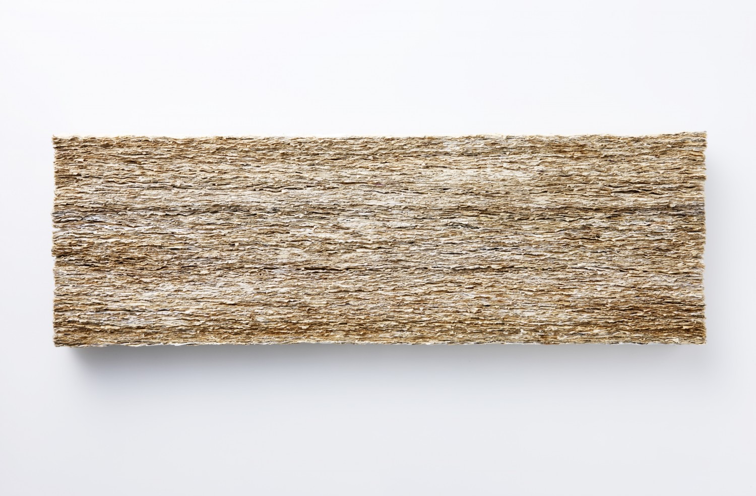 사유의 숲, 30x94cm, book on wood, 2014