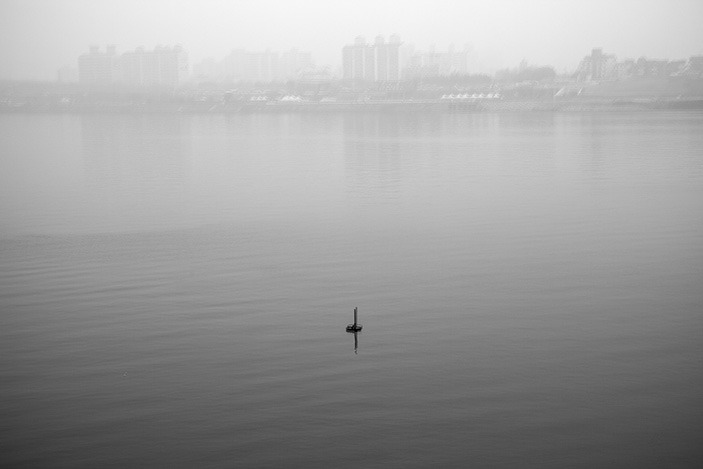 Black swan, pigment print on paper, 39x58cm, 2014