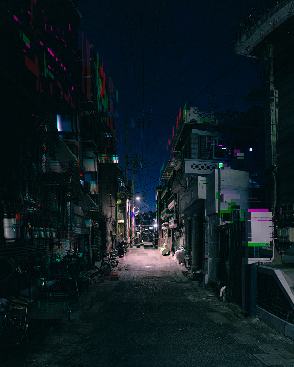 모란, 70.6x88cm, pigment print, 2024