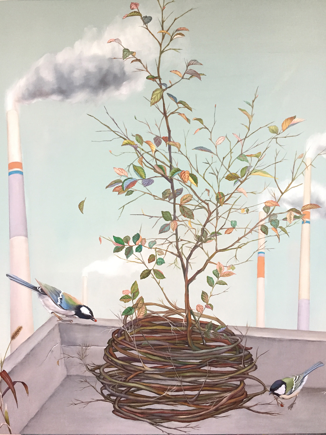 9 다시살아나는 식물 a reviving plant, 73x61cm, oil on canvas, 2018, 400만원