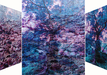 이영하 Lee Youngha 展 2013.4.23-5.5