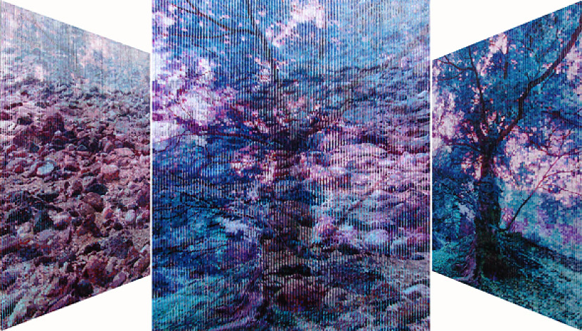 광야에서, 60.6×72.7㎝, oil on canvas, 2012