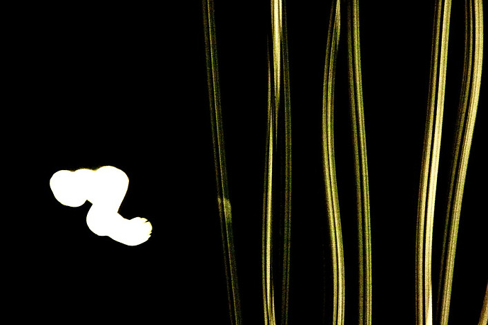 Luna #3, inkjet print, 2013