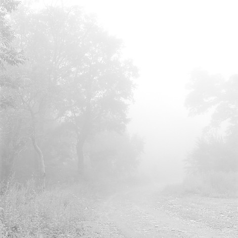 white#18, 44x44cm, inkjet print, 1of7, 2013