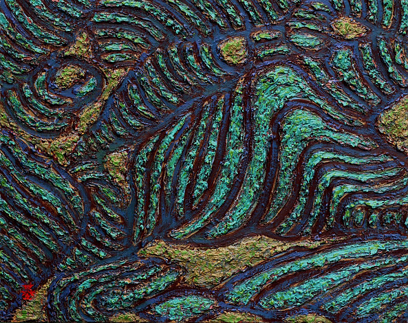천수답, 90.9x72.7cm, oil on canvas, 2012