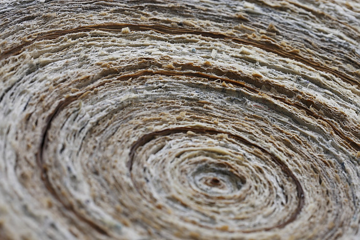 공명, 지름 110cm, book on wood, 2014