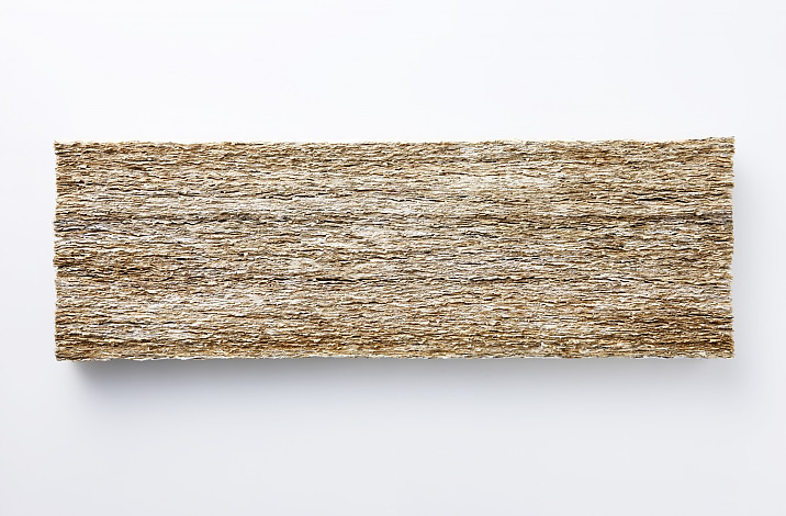 사유의 숲, 30x94cm, book on wood, 2014