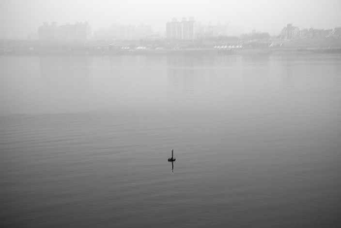 Black swan, pigment print on paper, 39x58cm, 2014