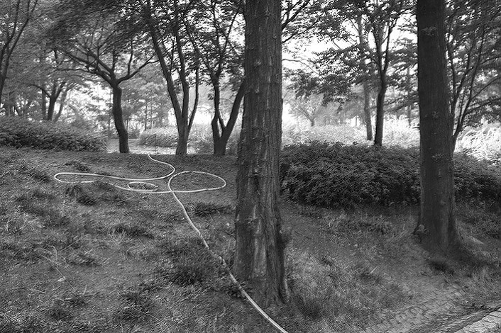white hose, pigment print on paper, 39x58cm, 2014