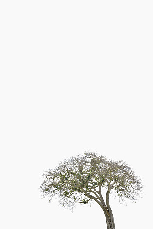 Kim ByungTae, 5298, 60x90 cm, inkjet print, 1of20, 2016 (3)