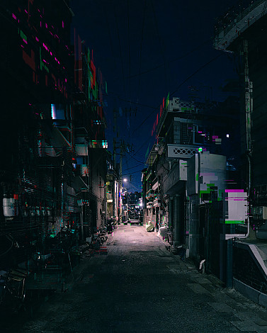 모란, 70.6x88cm, pigment print, 2024